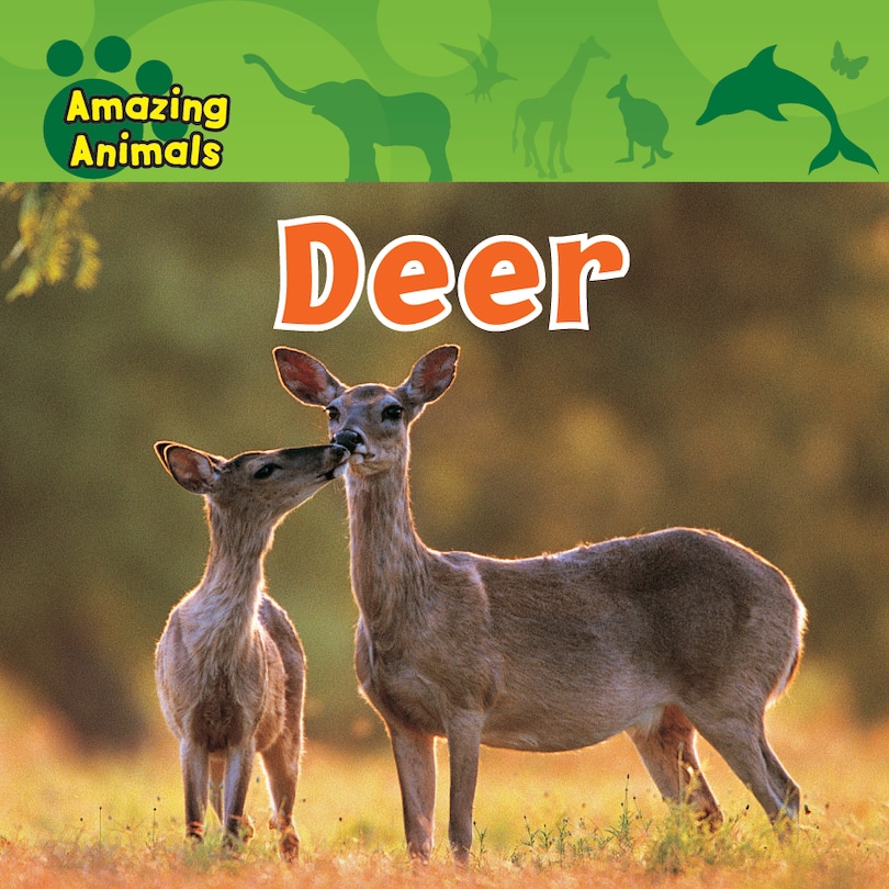 Front cover_Deer