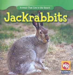 Couverture_Jackrabbits