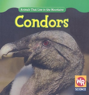 Couverture_Condors