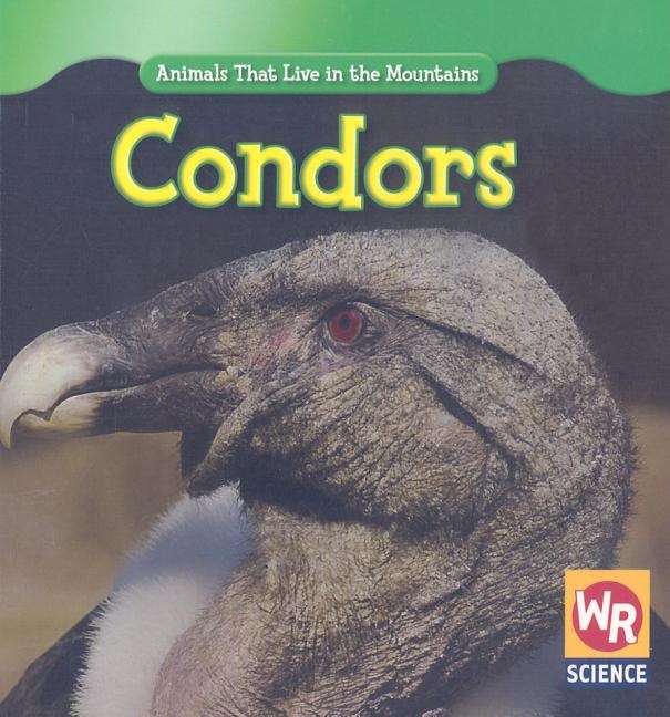 Couverture_Condors