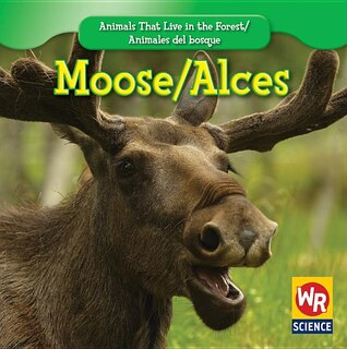 Moose / Alces
