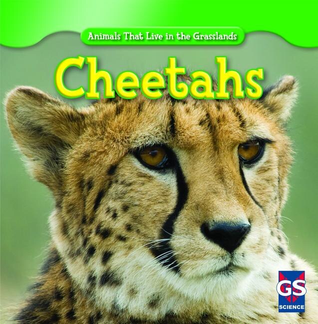 Couverture_Cheetahs