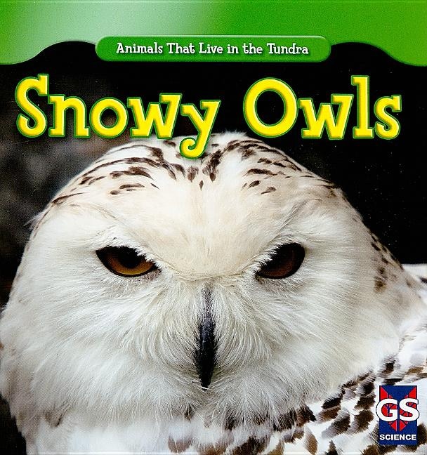 Couverture_Snowy Owls