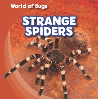 Couverture_Strange Spiders