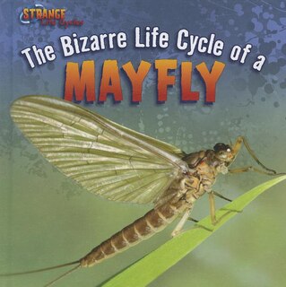 Front cover_The Bizarre Life Cycle of a Mayfly