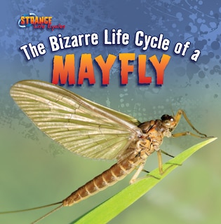 Front cover_The Bizarre Life Cycle of a Mayfly