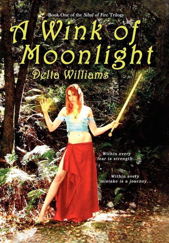 Couverture_A Wink of Moonlight