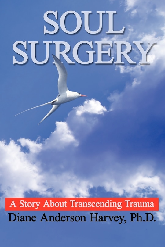 SOUL SURGERY: A Story About Transcending Trauma