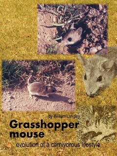 Couverture_Grasshopper Mouse