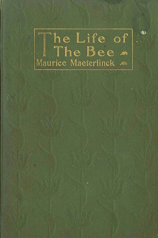 Front cover_Life of the Bee