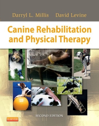 Canine Rehabilitation And Physical Therapy