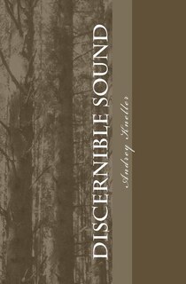 Couverture_Discernible Sound