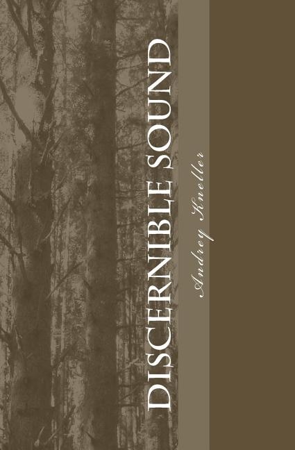Couverture_Discernible Sound