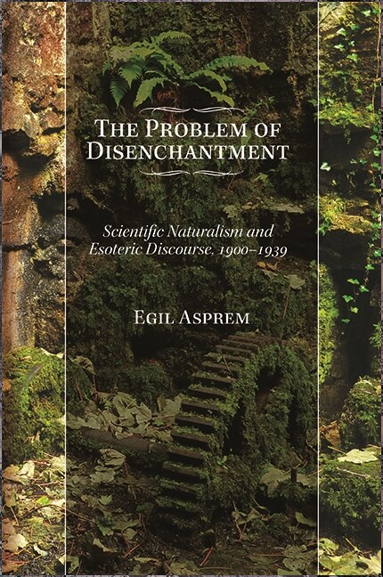 Front cover_The Problem of Disenchantment