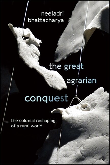 Couverture_The Great Agrarian Conquest