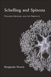 Couverture_Schelling and Spinoza