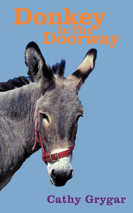 Couverture_Donkey In The Doorway