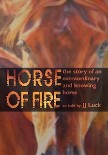 Front cover_Horse of Fire