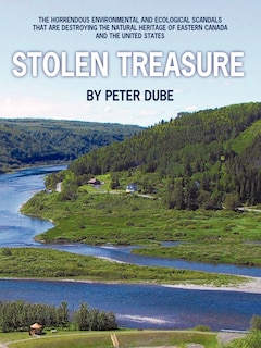 Couverture_Stolen Treasure