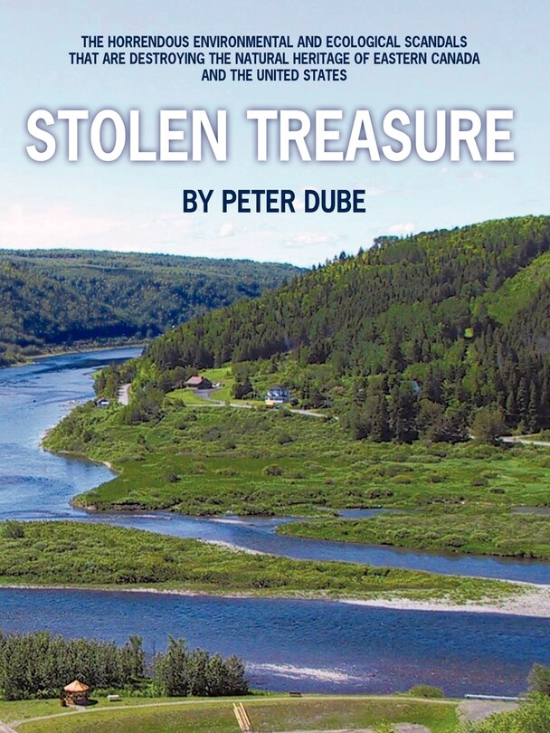 Couverture_Stolen Treasure
