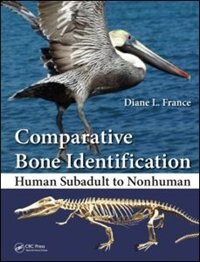 Couverture_Comparative Bone Identification