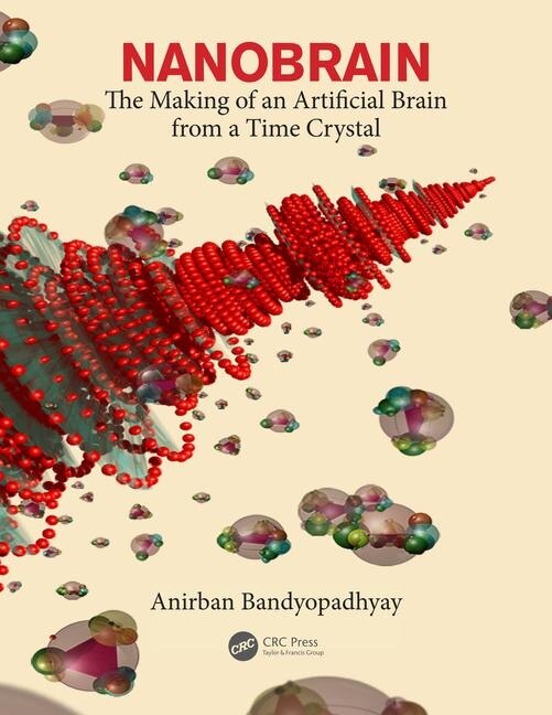 Nanobrain: The Making Of An Artificial Brain From A Time Crystal