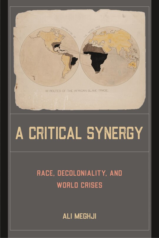 Couverture_A Critical Synergy