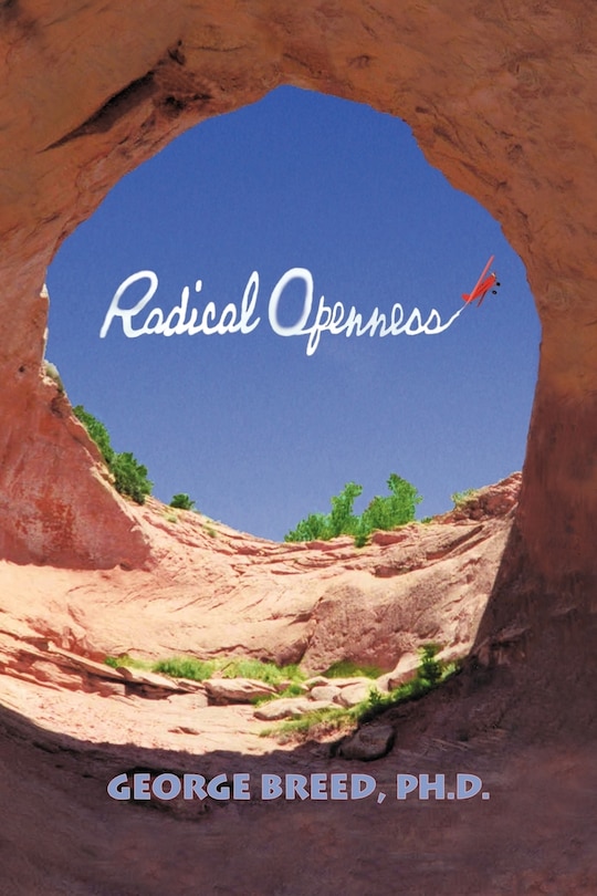 Front cover_Radical Openness