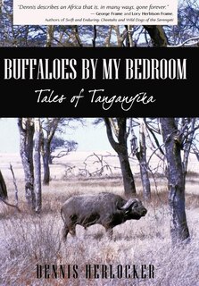 Front cover_Buffaloes by My Bedroom
