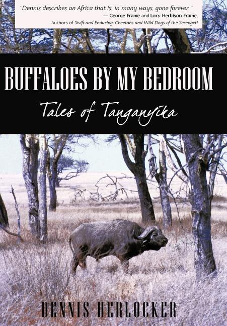 Front cover_Buffaloes by My Bedroom