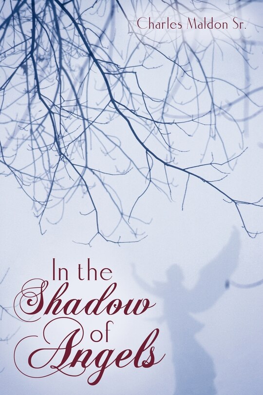 Front cover_In The Shadow Of Angels
