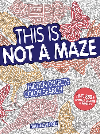 This Is Not A Maze: Hidden Objects Color Search