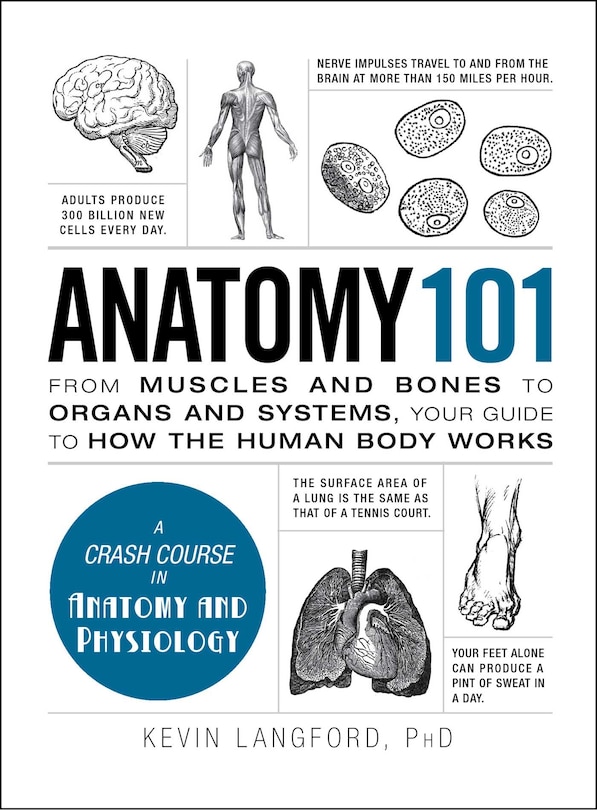 Couverture_Anatomy 101