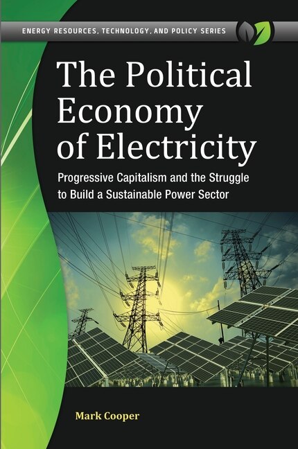 Front cover_The Political Economy of Electricity