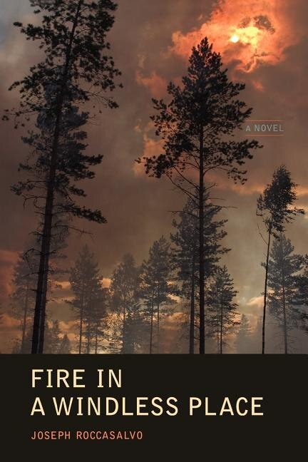 Couverture_Fire in a Windless Place