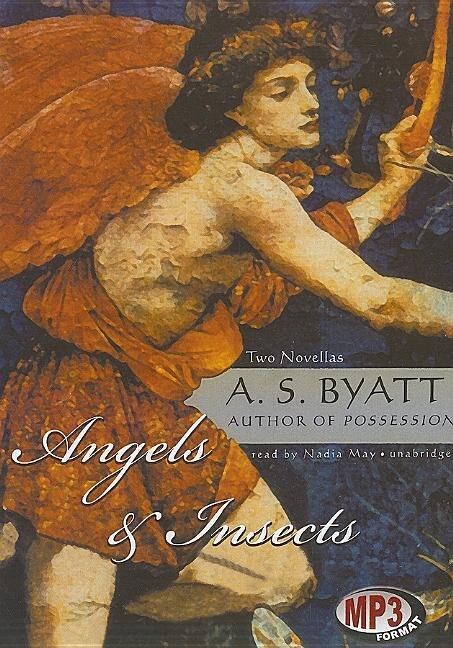 Front cover_Angels & Insects