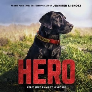 Couverture_Hero