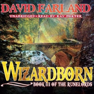 Couverture_Wizardborn