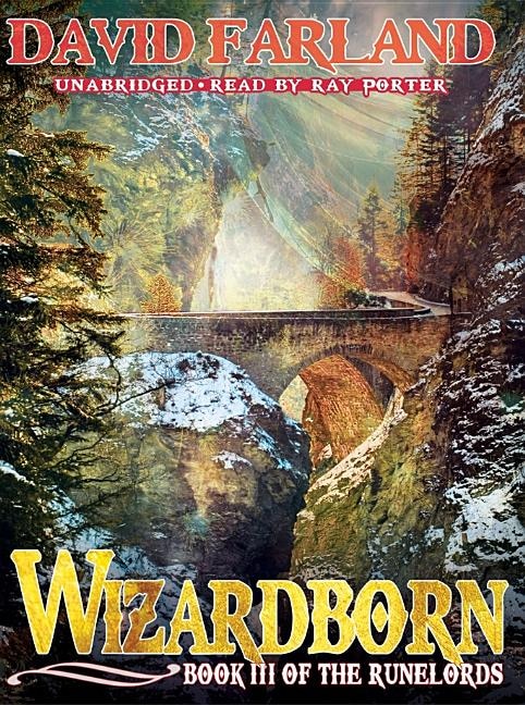 Couverture_Wizardborn