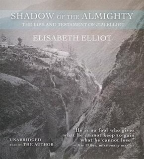 Couverture_Shadow Of The Almighty