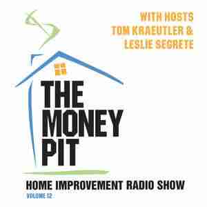 The Money Pit, Vol. 12 by Tom Kraeutler