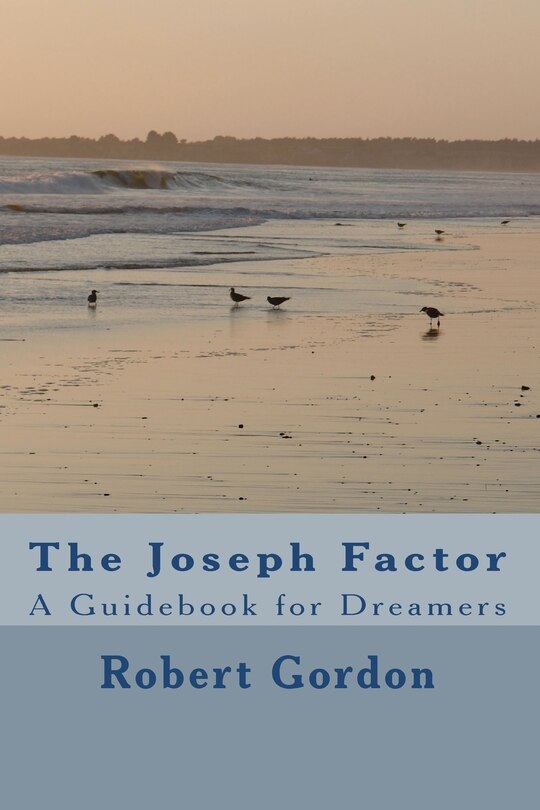 Front cover_The Joseph Factor
