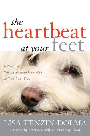 Front cover_Heartbeat at Your Feet