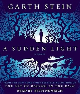 A Sudden Light: A Novel