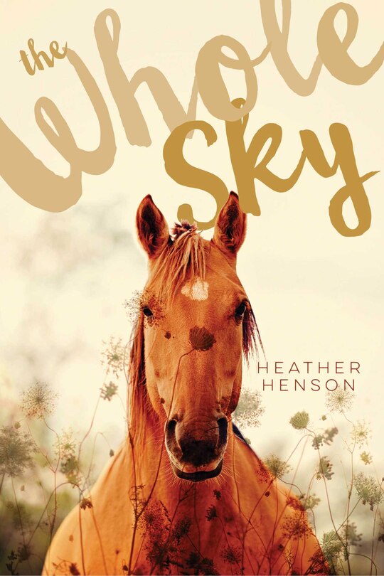 Front cover_The Whole Sky