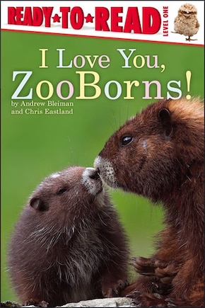 I Love You, ZooBorns!: Ready-to-Read Level 1