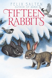 Front cover_Fifteen Rabbits