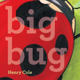 Couverture_Big Bug