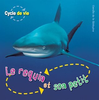 Cycle de vie : Le requin et son petit