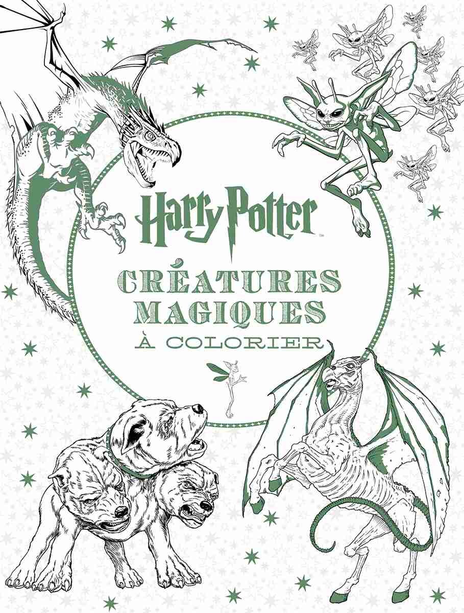 Harry Potter Le Livre De Coloriage Harry Potter - Le livre de coloriage : N° 2 - Créatures magiques à colorier, livre de Scholastic Canada Ltd. (Couverture souple) | www.chapters.indigo.ca